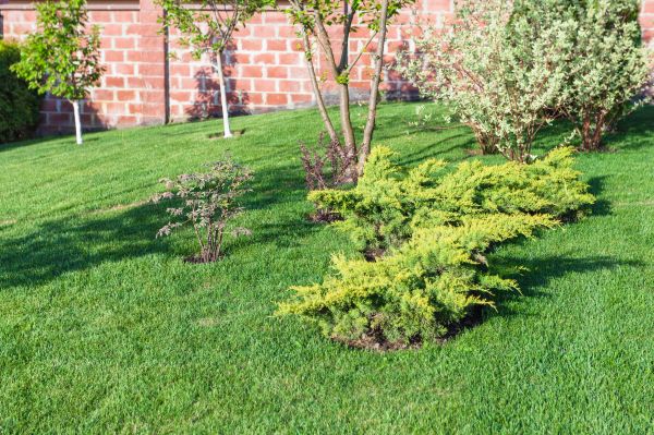 Sloped Backyard Landscaping