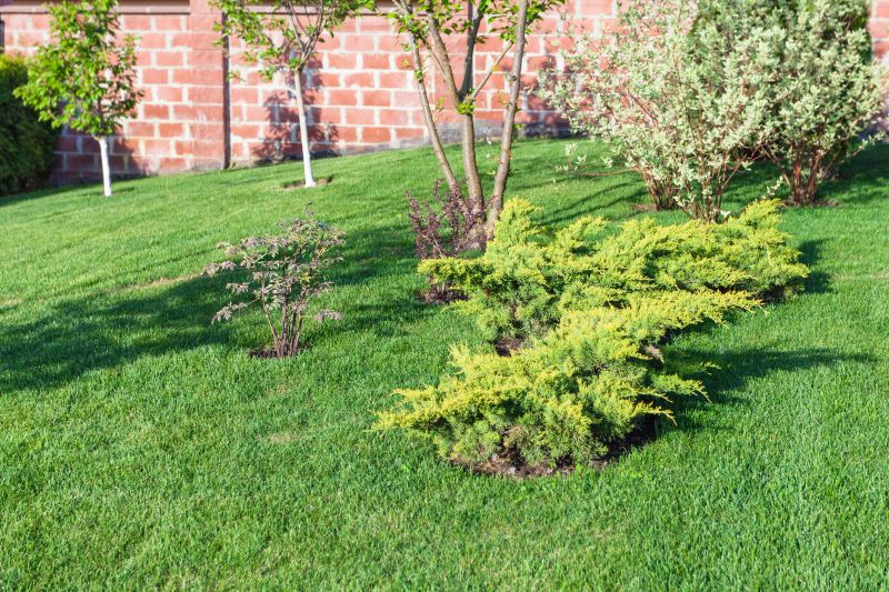 Yard Sloping Service