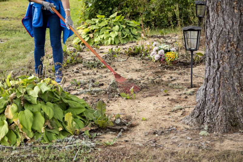 Land Clearing in Houston, TX