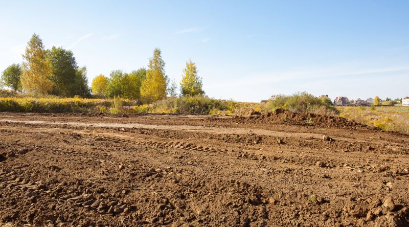 Site Cleaning in Marietta, GA