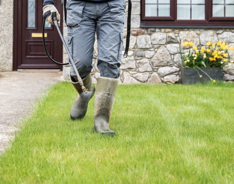 What to Expect When Hiring a Professional